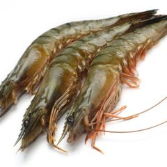 2022 Fresh Seafood Black Giant Tiger Prawn Shrimp For Sale frozen shrimp from Bangladeshi - Image 5