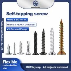 Stainless Steel Wholesale Ss Self Drywall Wood Chipboard Tapping Drilling Screw - Tianjin Longshi Fasteners Co., Ltd.