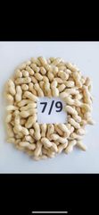 peanut - Image 3