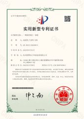 a new type of integrated gun certificate from Hangzhou Ragine Electronic Technology Development Co., Ltd.