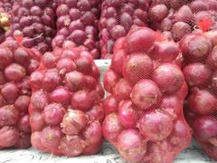 Fresh red onion - Image 1