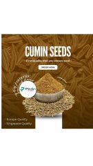 Cumin Seeds – product photo 1, product detail gallery