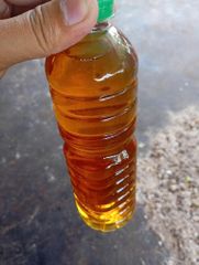 RBD Coconut Oils – product photo 1, product detail gallery
