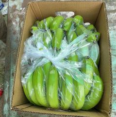 Premium Fresh Banana – Export Quality Fresh Banana from India - Image 3