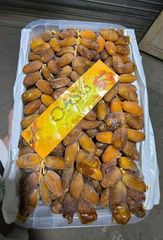 Premium Algerian Deglet Nour Dates – Export Quality Dates from Algeria - Image 1