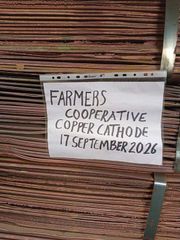 Premium Copper Cathodes & Copper Wire – Export Supply from Tanzania | Dar es Salaam - Image 1