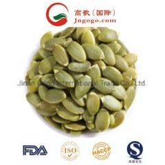 White Pumpkin Seed Kernels - Superior Quality and Packing Options - Image 6