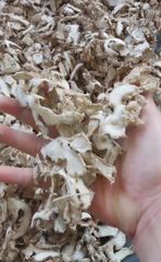 Dried ginger - Image 1