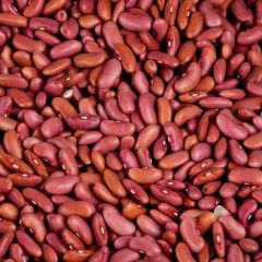 Pinto Beans-Long Type and Round Type Shelf Life 2 YEARS Shape Long Or Round Imperfection Level 3% Flavor Slightly sweet – product photo 1, product detail gallery