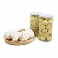 Canned Mushroom with High Quality - Image 2