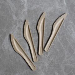 100% Compostable Biodegradable Disposable Tableware Bagasse Sugarcane Dinner Set - Image 3
