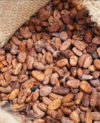 Cocoa Beans, dried, fermented F2 Grade - Image 1