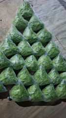 Fresh Hydroponic Green Leaf Lettuce — 100% Pesticide-Free - Image 3