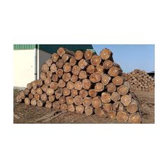 Strong round logs available for wholesale  - Image 2