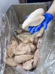 Frozen Halal Chicken Breasts – product photo 5, product detail gallery