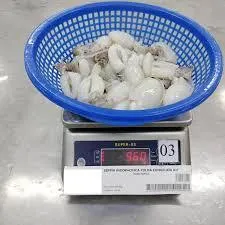 Frozen Whole Clean Baby Cuttlefish, Frozen Cuttlefish Fillet Roll, and Frozen Grilled Cuttlefish Fillet, ensuring reliable B2B seafood solutions - Image 1