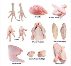 Frozen Chicken Paws – Grade A - Image 2