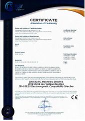 CE certificate from Shandong Blossom Pump Co., Ltd.
