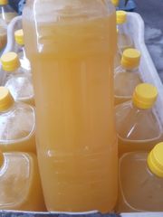 Freshly Squeezed Fruit Juice Variety Flavors (Lemon Mango Orange) Sugar Honey Collagen Halal Certified Packaged Bottles Bulk - Image 5