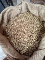 Robusta Green Coffee Bean - Origin Java, Indonesia, PT Harvest Nusa Trading, Lets Connect - Image 3