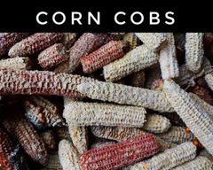 Corn Cob - Image 3