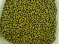 Green mung beans in the sack / Mung bean seed cereal whole grains - Image 4