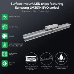 High Efficiency 600W 301b LED Plant Grow Light, Linear Design, 2.8 μMol/J, Rj14 Control, IP65 for Commercial Horticulture - Image 4