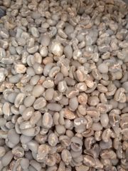 Robusta Coffe bean – product photo 1, product detail gallery