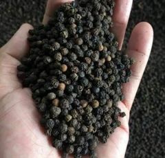 Balck pepper 550 GL - Image 2