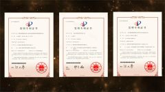Professional Certificate certificate from Shenzhen Oya Ri New Material Technology Co., Ltd