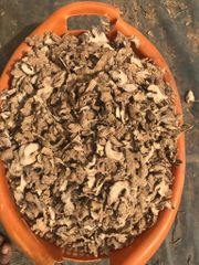Dried Sliced Ginger - Image 1