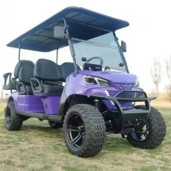 Sightseeing Tour off-Road Vehicle Hotel Reception Car off Road Electric Golf Cart - Dezhou Fuda Metal Products Co., Ltd.