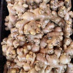 Fresh Ginger and air Dried Ginger New Crop Wholesale Exporters with Ginger Root Market Price Typical Hot Spicy Oil - Image 1