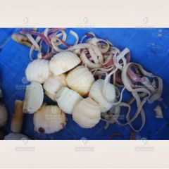 Industrial Vegetable Fruit Apple Processing Equipment Pear Peeling Coring Cutting Machine - Image 4