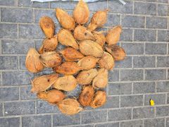 Agriculture, Food & Beverage – product photo 1, product detail gallery