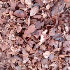 Cocoa Shells - Image 1