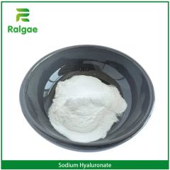 Sodium Hyaluronate Foods Additive Color White State Powder Origin China EINECS 618-620-0 Trademark Ralgae HS Code - Image 6
