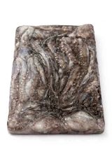 Block Frozen Octopus - Image 2