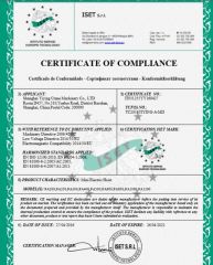 mini electric hoist CE certificate from Shanghai Yiying Crane Machinery Co., Ltd.