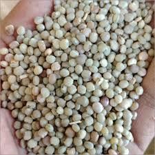 Guar seeds - Image 1
