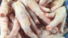 Premium Frozen Chicken Paws – Wholesale Bulk Supply for Export - Image 4