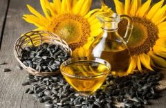 Crude Sunflower Oil – 100% Bulgaria Origin - Image 1