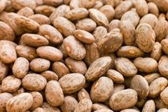 Pinto beans for sell Grade A Flavor Earthy Origin Germany Texture Creamy Shelf Life 24 MONTHS Place of Origin GERMANY Color Uniform Light Brown When Cooked - Image 4