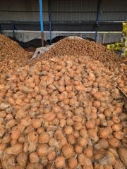 Semi husk cocount 🥥 – product photo 5, product detail gallery