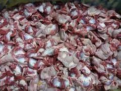 Frozen chicken gizzards – product photo 1, product detail gallery
