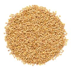 Organic Clover Seeds for Sprouting – product photo 1, product detail gallery