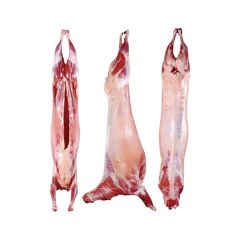 Fresh Meat - Image 3
