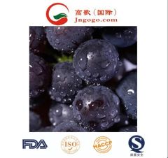 Competitive Fresh Broccoli for Exporting Kind Fresh Color Green Trademark GOGO Size 600-1200g/PC HS Code 0704902000 Storage Method - Image 6