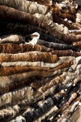 Quality Dry Donkey Hides, Wet Blue Cow hides and wet salted cow hides available - Image 2