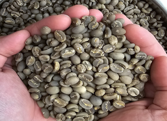 Arabica Coffee Green Beans Indonesia. – product photo 4, product detail gallery
